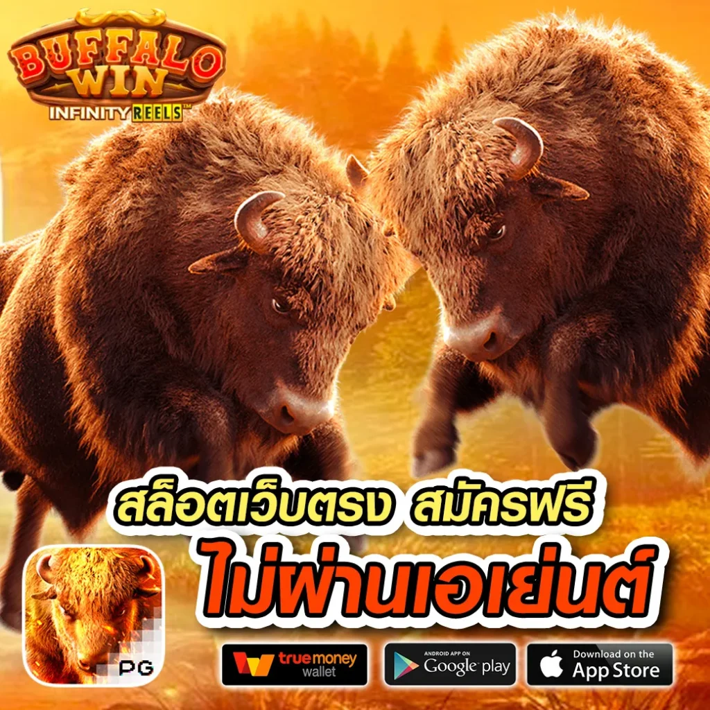 taobins slot แตกบ่อย